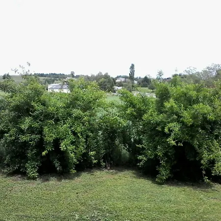 Les Haies Vives Habitación en casa particular Choisy